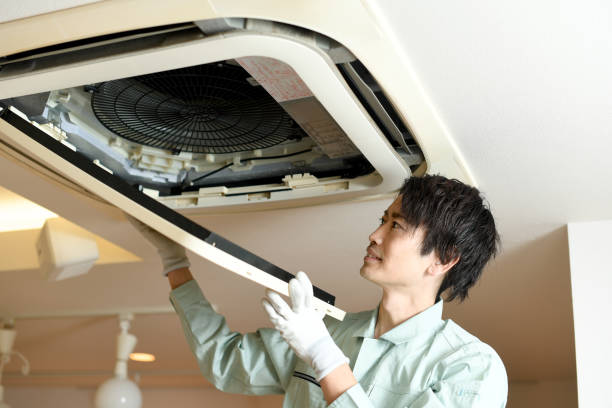 Best Affordable Air Duct Cleaning  in Chleston, AR