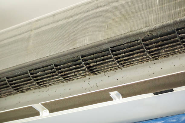 Best Emergency Air Duct Cleaning  in Chleston, AR